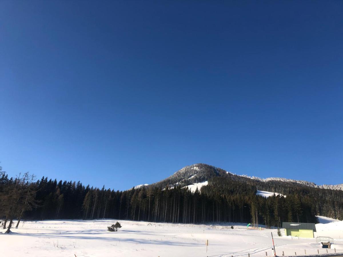 Appartement Schwab Ski In & Out Schladming Exteriör bild